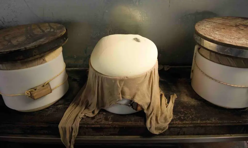 salja-parmesanost-med-laget