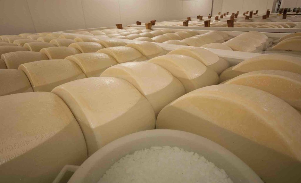 tjana-pengar-till-studenten-parmesanost