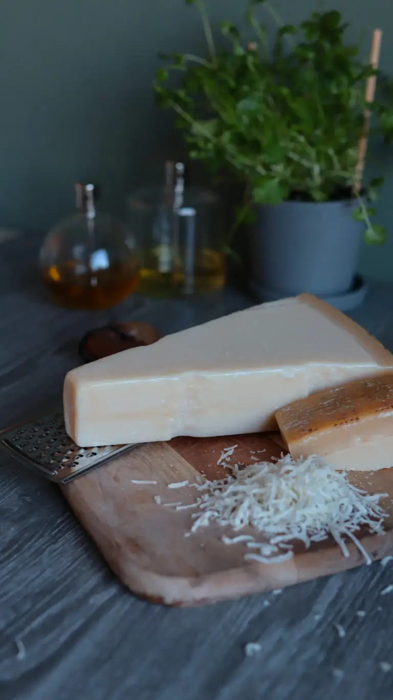 Parmesanost på bricka
